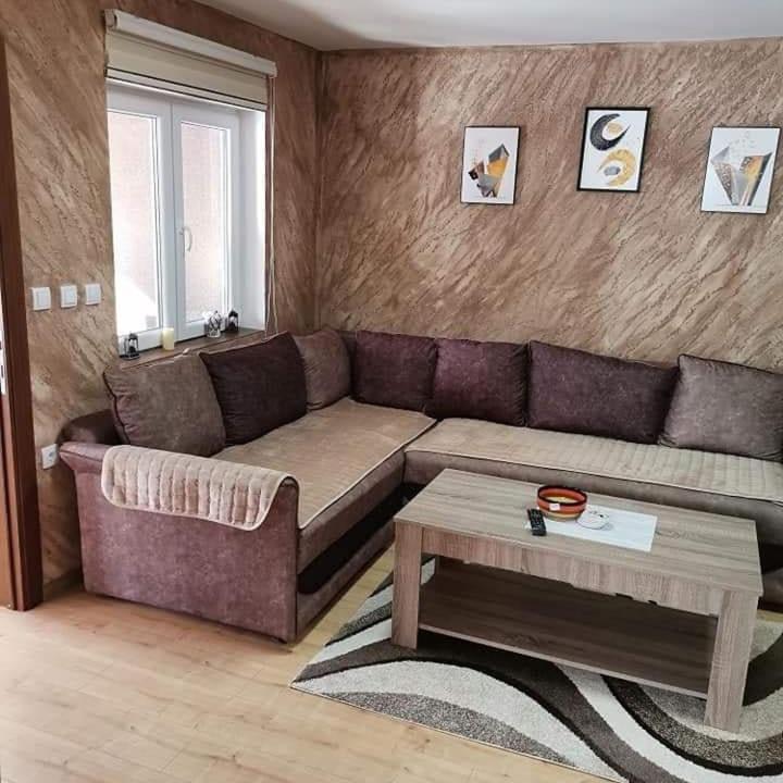 Apartmani Milosavljevic Divčibare المظهر الخارجي الصورة